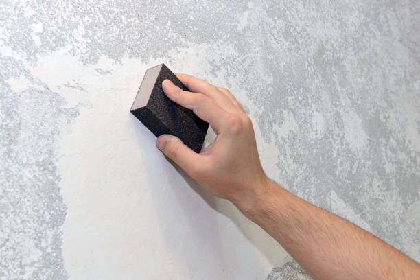 Best Crawl Space Mold Remediation  in Fairfield Plantation, GA