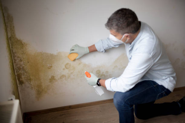Best Mold Remediation for Healthcare Facilities  in Fairfield Plantation, GA