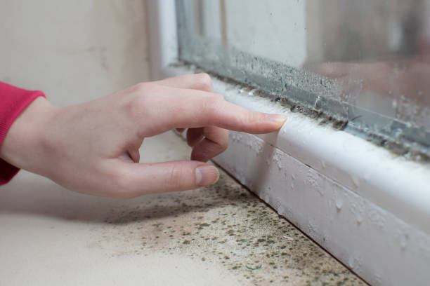 Best Emergency Mold Remediation  in Fairfield Plantation, GA